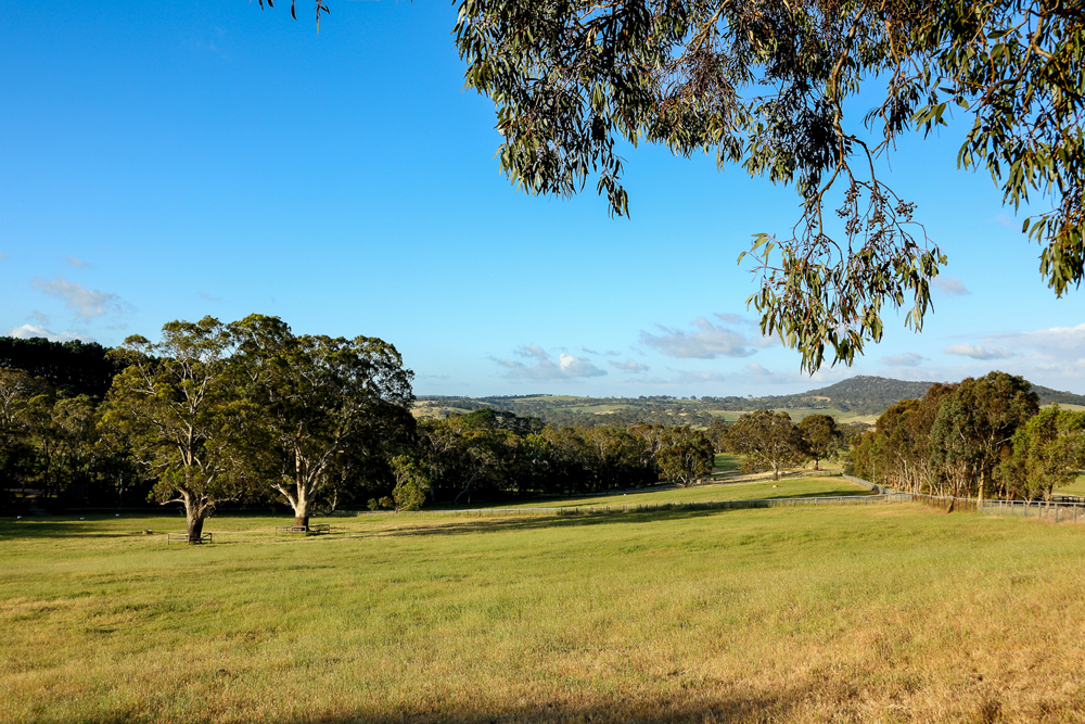 Mt Barker