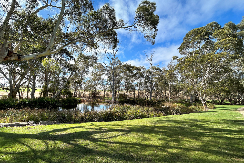 Mt Barker