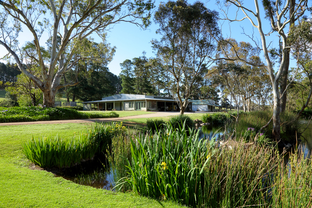 Mt Barker