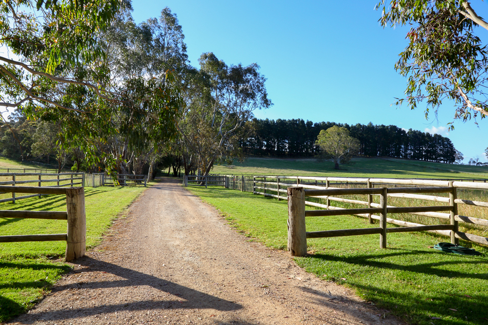 Mt Barker