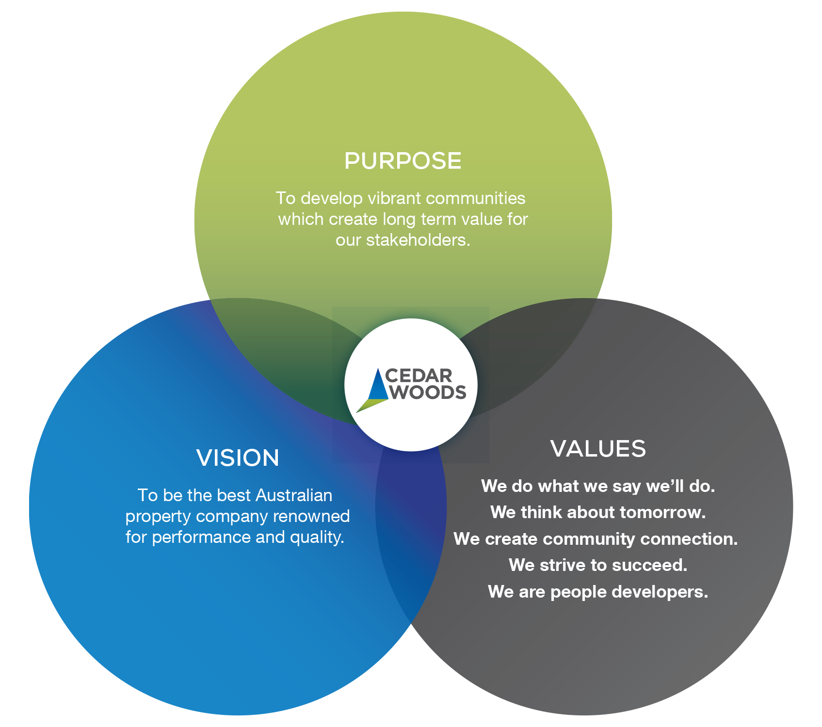 Cedar Woods Strategy Purpose Vision Values