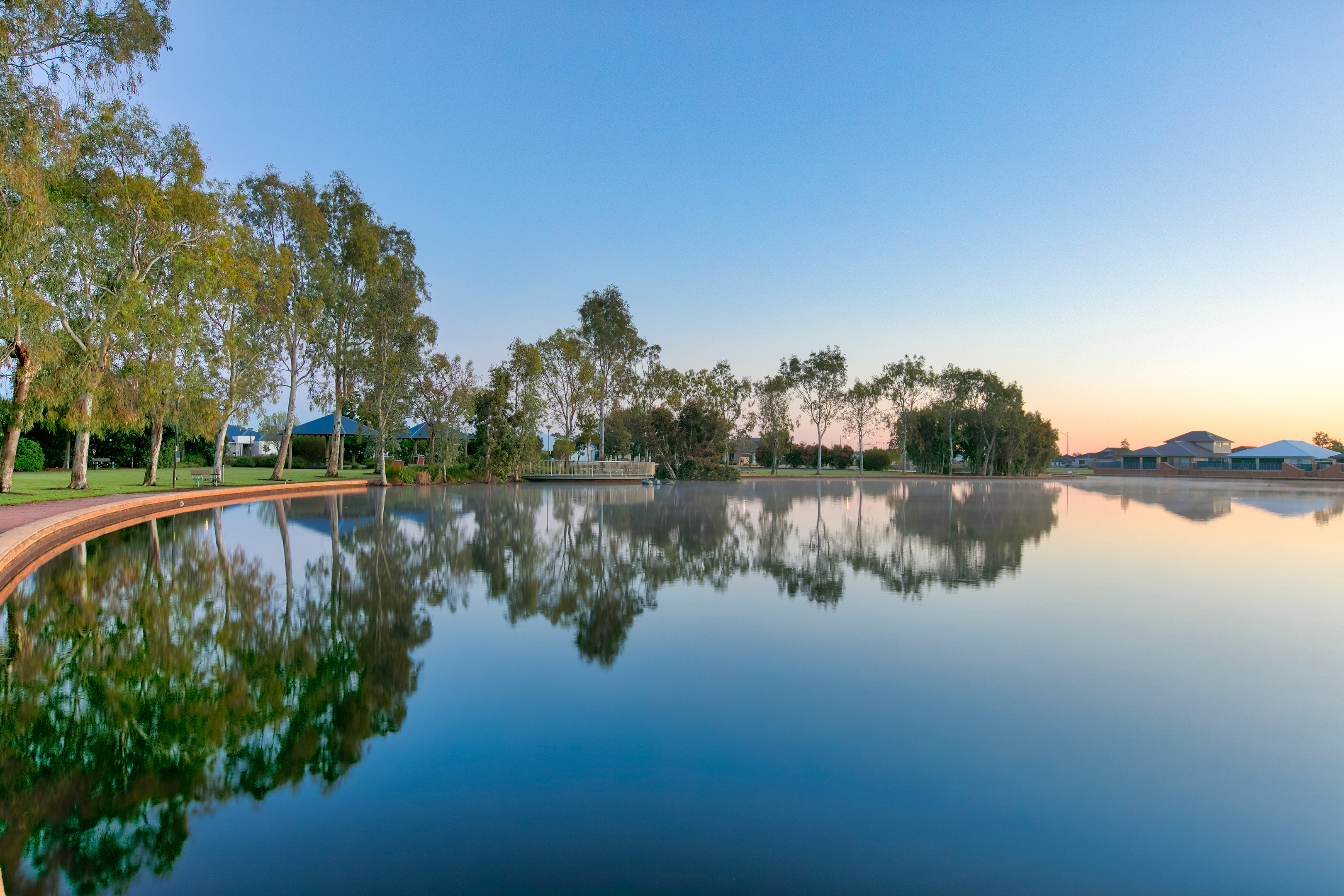 The Rivergums