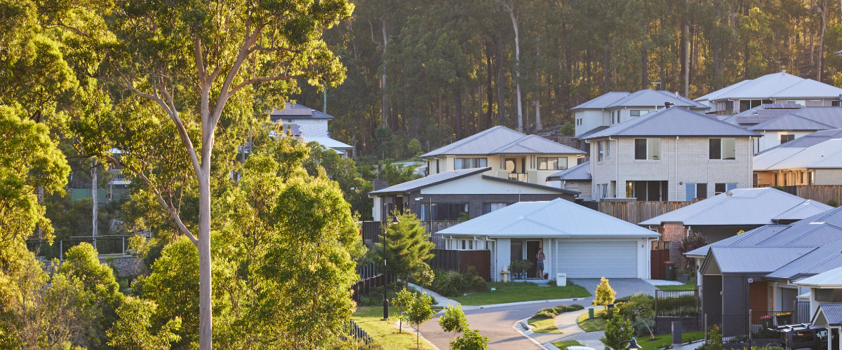 House and Land Packages Brisbane & Qld Cedar Woods