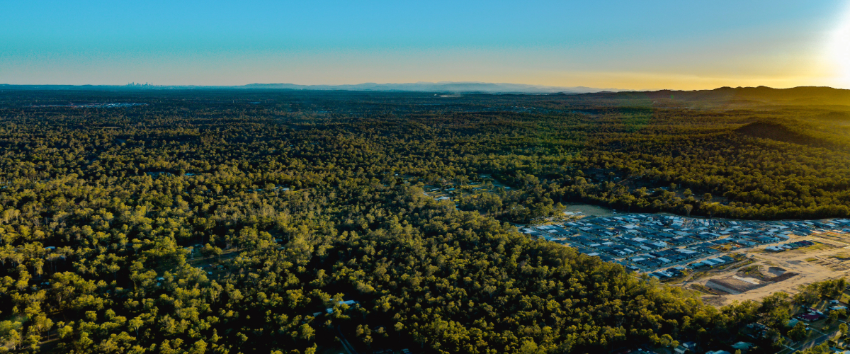 Land For Sale in Brisbane South Suburbs & Logan Cedar Woods